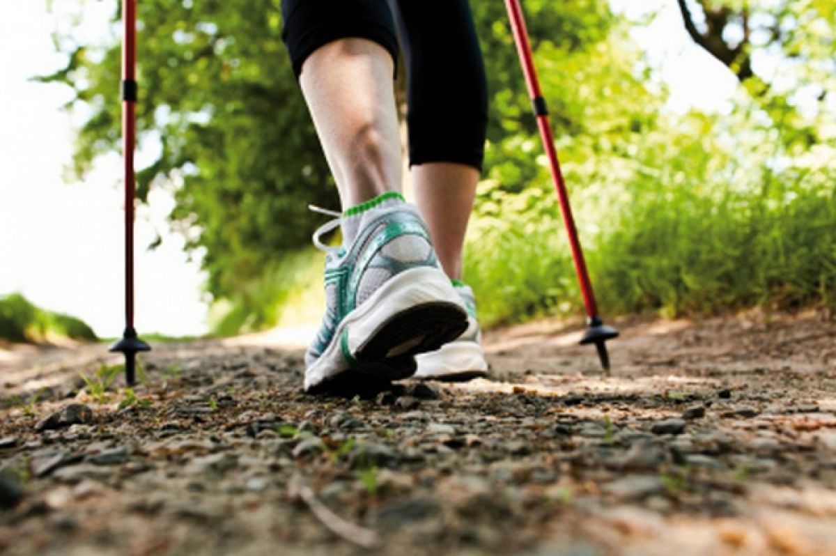 Friesenhörn - Kopfbild